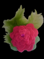 /album/diademas/img-1170-png/