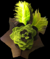 /album/diademas/img-1186-png/