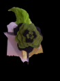 /album/diademas/img-1224-png/